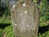 image of grave number 245005